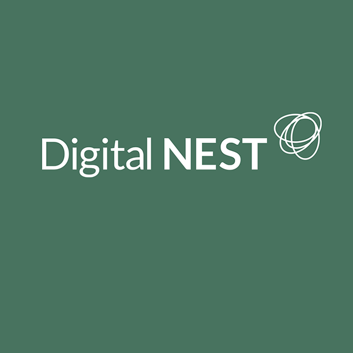 digital nest logo